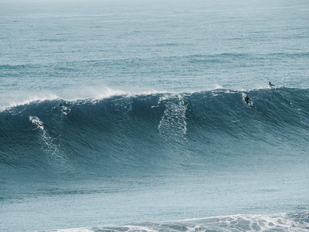 Chasing Swells: A Surfer's Journey from Shore to Peak